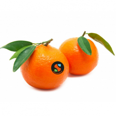 Okitsu Mandarin