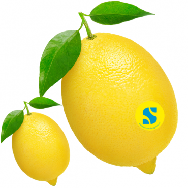 Interdonato Lemon