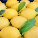 Interdonato Lemon