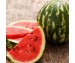 The Juicy Journey of Watermelon: From Se...