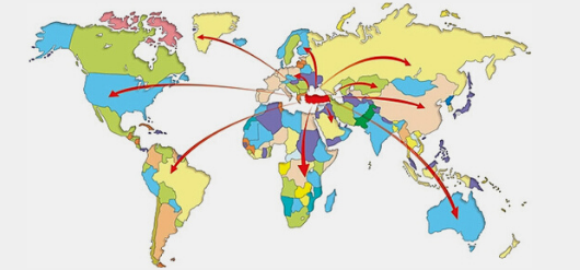 Picture showing our export operations for fresh fruits and vegetables all around the globe